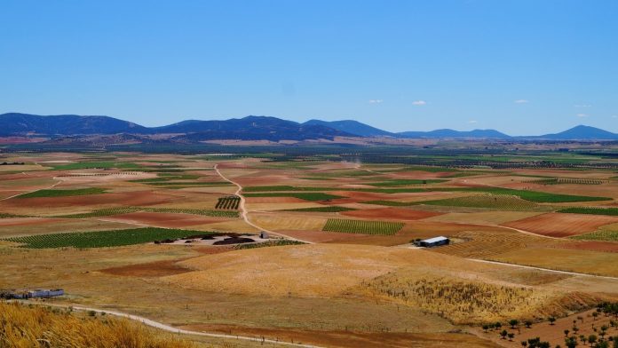 campo