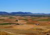 Castilla-La Mancha liquidará en junio 90 millones de euros de la PAC campo