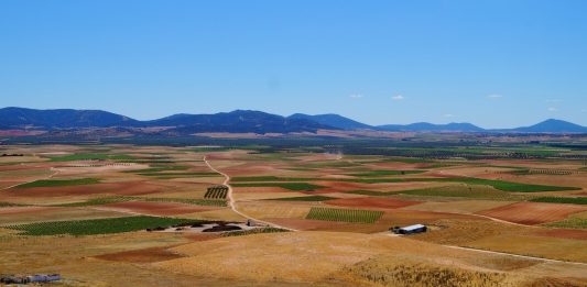 campo