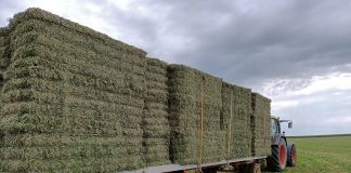 El Ministerio de Agricultura homologa el contrato tipo para la venta de forrajes forrajes