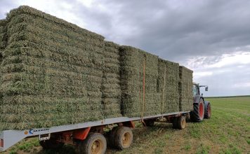 La producción de forrajes deshidratados caerá un 4 por ciento en la próxima campaña forrajes