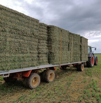 La producción de forrajes deshidratados caerá un 4 por ciento en la próxima campaña forrajes