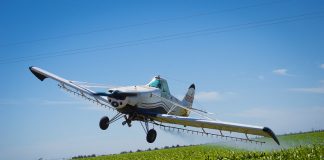 Ecologistas denuncian que en España se han fumigado por vía aérea 234.000 hectáreas de arrozales en los últimos cinco años fumigación aérea