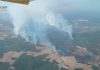 Fincas rústicas, ¿qué cubre el seguro agrario en caso de incendio? incendio forestal