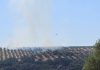 Los incendios forestales arrasan en España 116.500 hectáreas agrícolas incendio