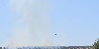 Las obligaciones de la PAC ponen en riesgo a los olivares de sierra incendio