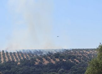 Los incendios forestales arrasan en España 116.500 hectáreas agrícolas incendio