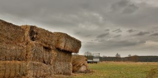 Advierten del riesgo de accidentes con pacas en el sector agrario pacas