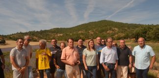 Lamenta que “la lavanda crea riqueza para mucha gente, menos para los agricultores” sector lavanda