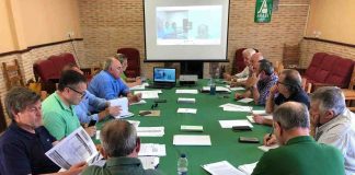 Advierten que los bajos precios del cereal tendrán “consecuencias desastrosas” para los agricultores sectorial ASAJA cereales