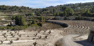 Gobierno de Castilla-La Mancha aprobará ayudas a la sequía para la provincia de Albacete sequía