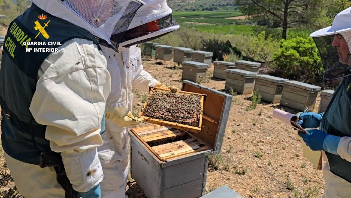 miel ecológica contaminada