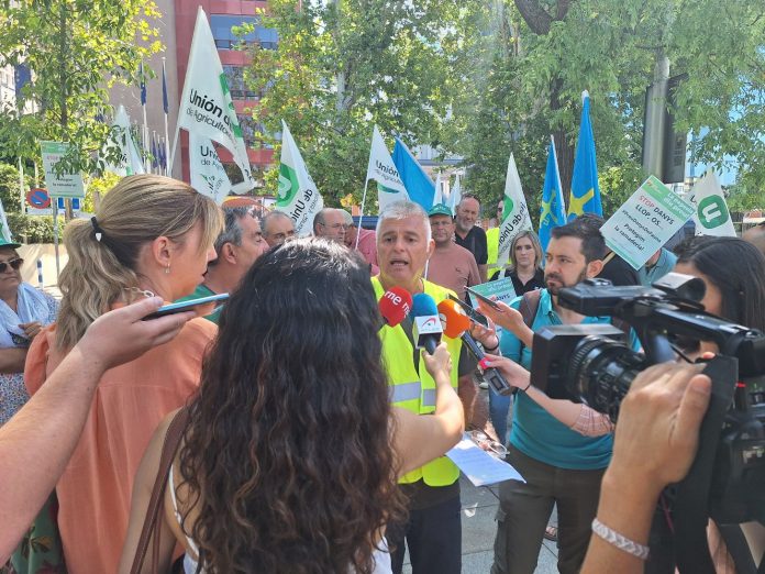 concentración Lobo