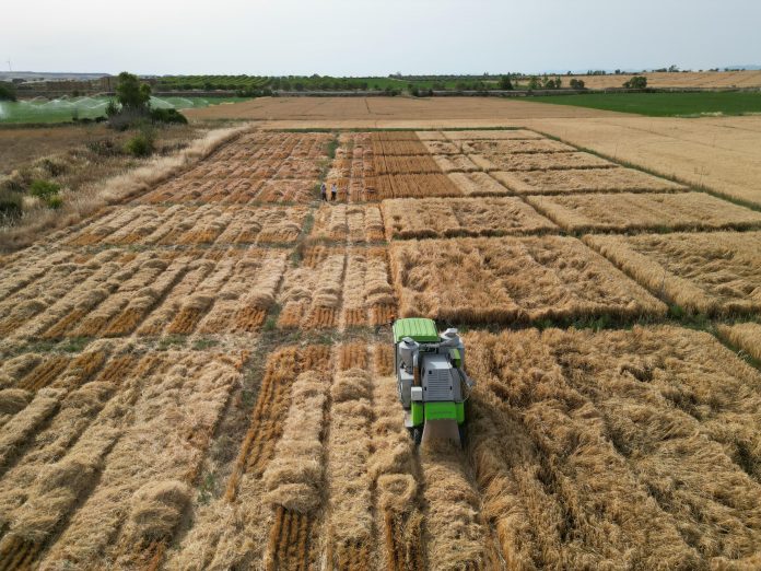nuevas variedades vegetales