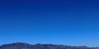 Cómo preparar el coche para la temporada de alergias: Pasos esenciales para minimizar los síntomas de la alergia mientras conduce carretera