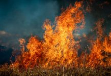 Unión de Uniones cree que muchas explotaciones agropecuarias lo han perdido todo con los incendios incendio