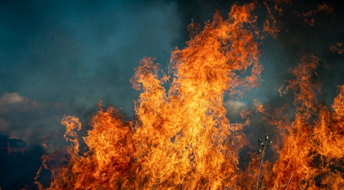 Unión de Uniones cree que muchas explotaciones agropecuarias lo han perdido todo con los incendios incendio