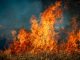 Unión de Uniones cree que muchas explotaciones agropecuarias lo han perdido todo con los incendios incendio