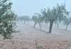 Piden vigilancia y precaución en el campo y dan consejos ante lluvias intensas y granizo granizo