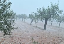 Piden vigilancia y precaución en el campo y dan consejos ante lluvias intensas y granizo granizo
