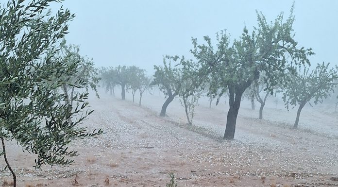 Piden vigilancia y precaución en el campo y dan consejos ante lluvias intensas y granizo granizo