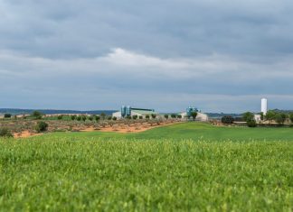 ASAJA rechaza la nueva normativa para la gestión del estiércol porcino en Castilla-La Mancha porcino