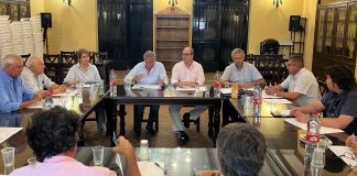 Finaliza la vendimia en Montilla-Moriles con una cosecha corta y precios lejos de las expectativas vendimia en Montilla-Moriles