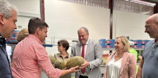 Castilla-La Mancha abonará a las Organizaciones de Productores de Frutas y Hortalizas 6,1 millones SAT Campos