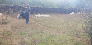 VOX exigirá soluciones inmediatas contra los ataques del lobo en Castilla-La Mancha ataques del lobo