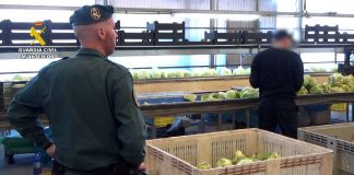 Desarticulado un grupo criminal que vendió dos millones de kilos de frutas y verduras como productos ecológicos Guardia Civil