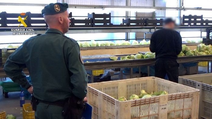 Guardia Civil