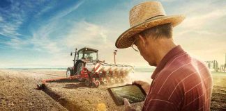 Conexión campo-ciudad: Transformando las regiones rurales de España con tecnología