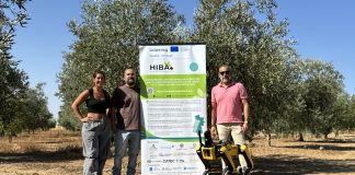 Un robot cuadrúpedo se encargará de monitorizar los cultivos robot cuadrúpedo