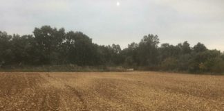¿Qué ayudas están cobrando estos días los agricultores y ganaderos? Y no es el anticipo de la PAC tractor