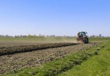 El FEGA fija los criterios para calcular las ayudas directas por superficie de la PAC en 2026 joven
