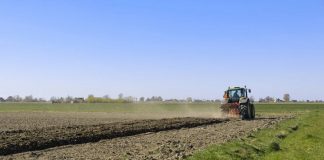 Castilla-La Mancha pagará en junio cien millones de la campaña PAC 2024 campo