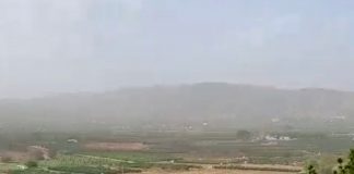 Balance de los daños de la DANA en los cultivos, por Comunidades Autónomas y provincias daños de la DANA