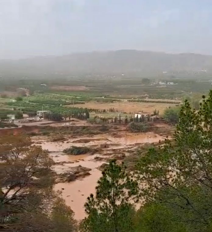 daños de la DANA