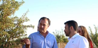 VOX Castilla-La Mancha exige al Gobierno regional que el gusano cabezudo se declare plaga VOX Castilla-La Mancha