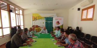 Campaña de melón y sandía en Castilla-La Mancha termina con precios “razonables” para el agricultor Lonja Hortofrutícola de Castilla-La Mancha