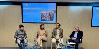 Agricultura regenerativa: El secreto está en el suelo Agricultura regenerativa