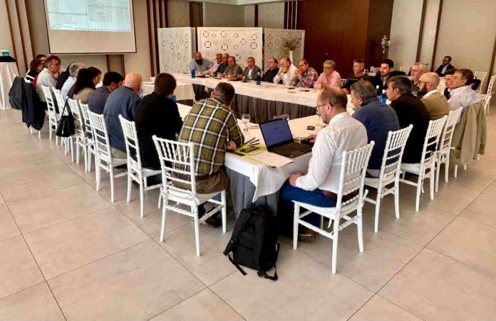 Sectorial Vino Cooperativas CLM Cooperativas Castilla-La Mancha