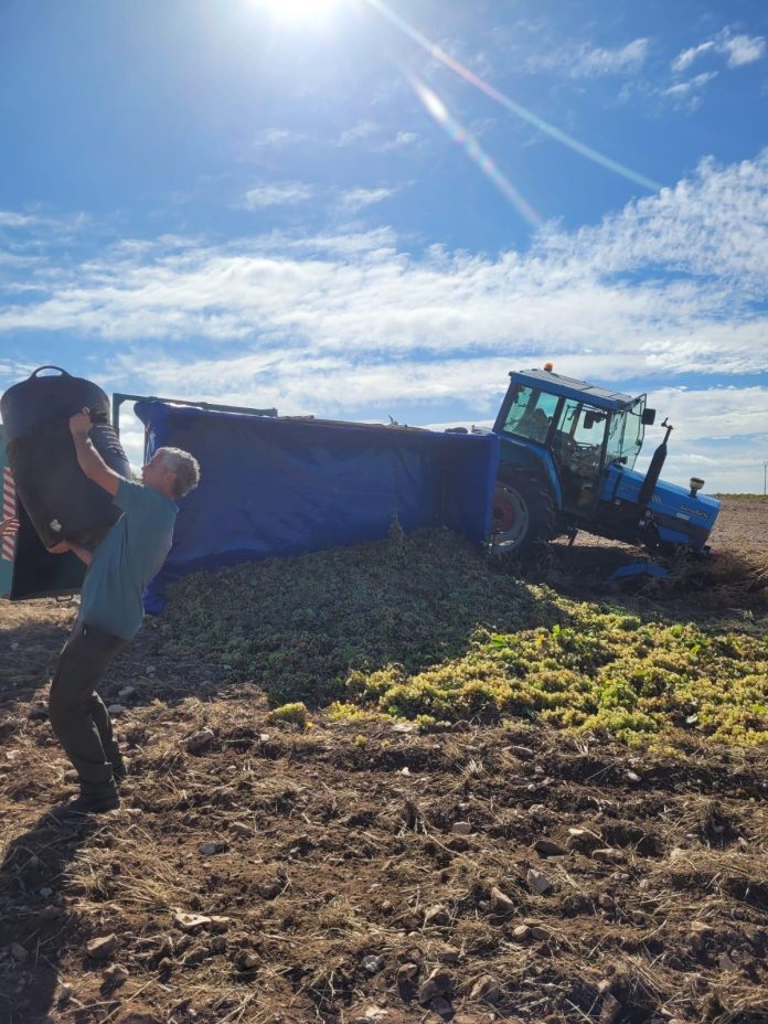 accidente tractor