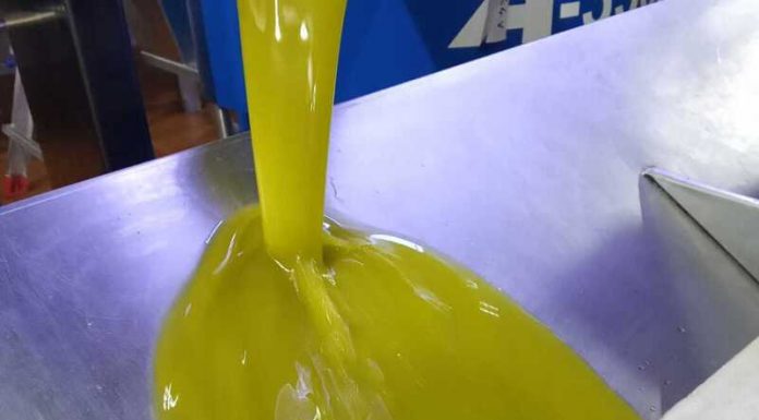 España, un coladero para el aceite de oliva procedente de Túnez aceite de oliva