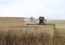 ¿Por dónde pasa el futuro del sector cerealista? cosechadoras
