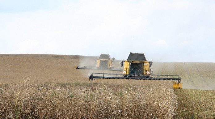La cosecha española de cereales se prevé en 20,56 millones de toneladas, y con tendencia a la baja cosechadoras