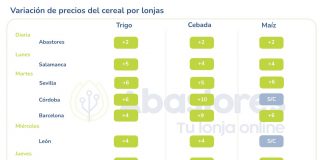 El mercado de cereales encadena cinco semanas consecutivas de subidas