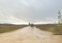 El temporal está provocando riesgo de asfixia radicular y enfermedades en cultivos andaluces inundaciones