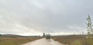 El temporal está provocando riesgo de asfixia radicular y enfermedades en cultivos andaluces inundaciones