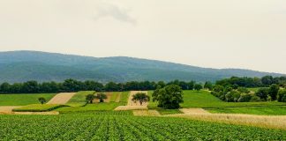El impacto de la agricultura moderna en la salud digestiva y la deficiencia de minerales naturaleza